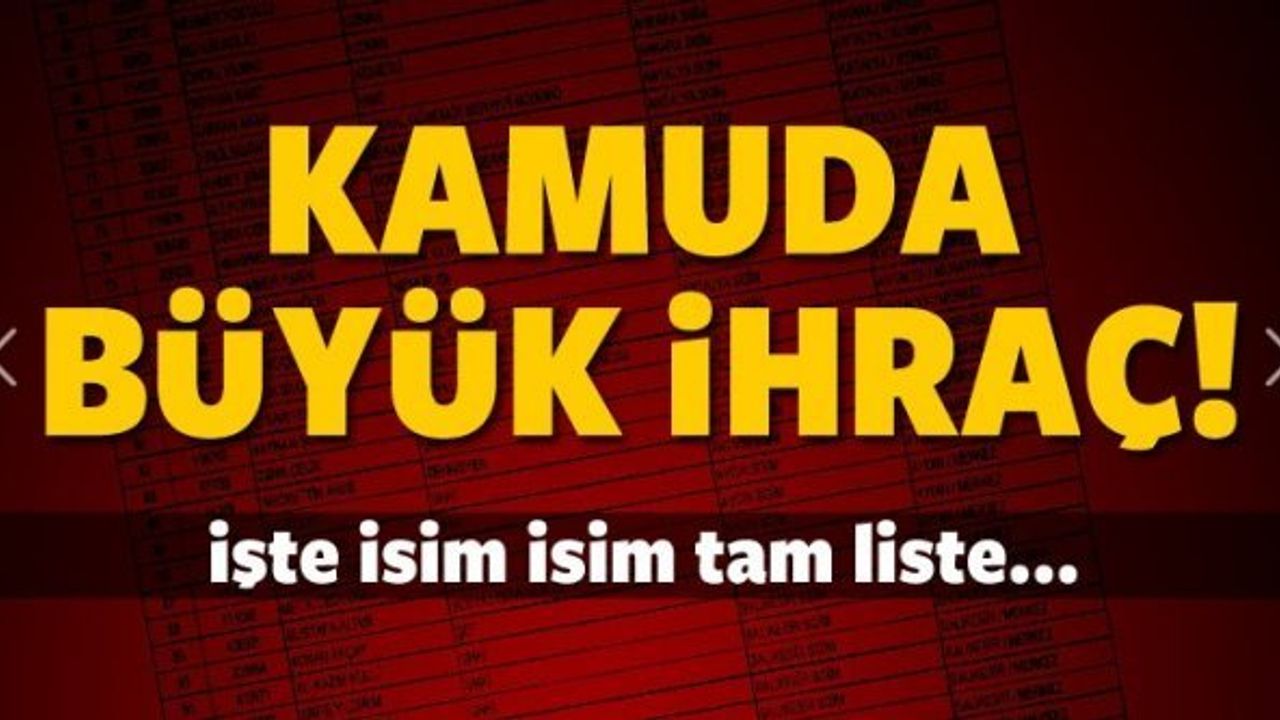 Aydın il ve ilçelerde kimler ihraç edildi?