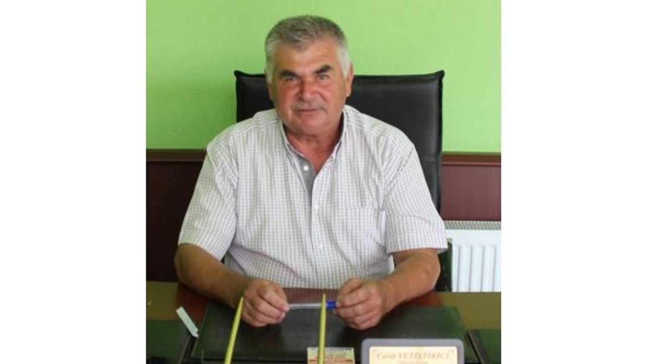 Karpuzlu zeytin üreticisi isyan ediyor