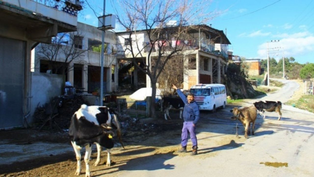 Önce Güvenlik Kamerası Yok Oldu, Ardından Hayvanlar