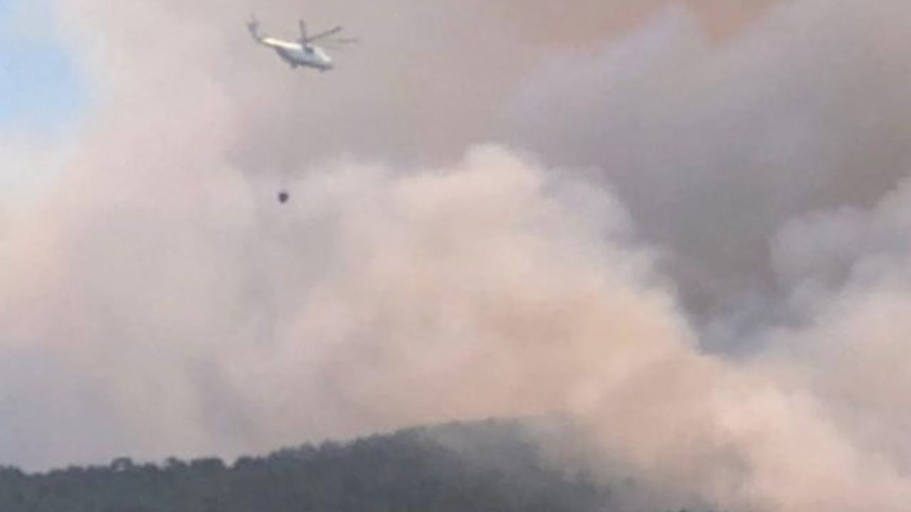 Akçaova'daki yangınla ilgili 1 kişi tutuklandı