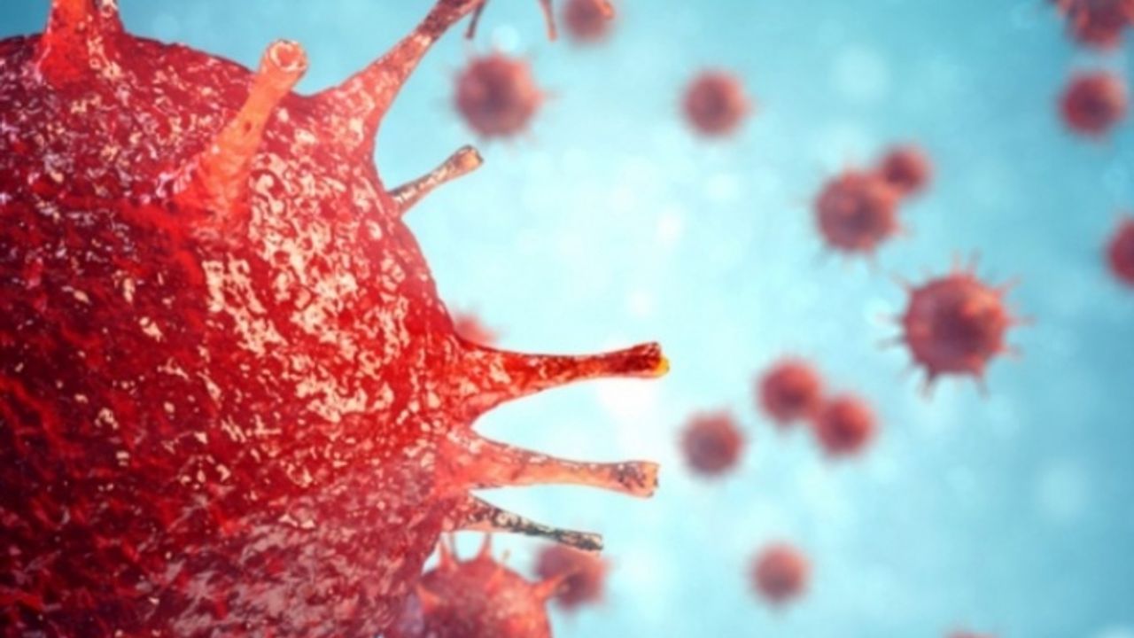 Çine'de koronavirüs can aldı