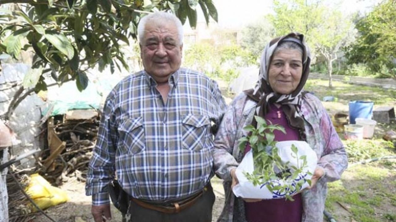 Büyükşehir Belediyesi’nin Ata Tohumlarından Yetiştirdiği Fideler Vatandaşların Bahçesiyle Buluştu