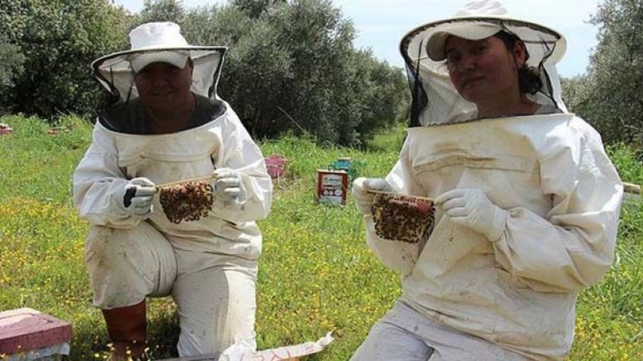 Aydınlı kadınların ürettikleri anaarılar Türkiye'ye dağılıyor