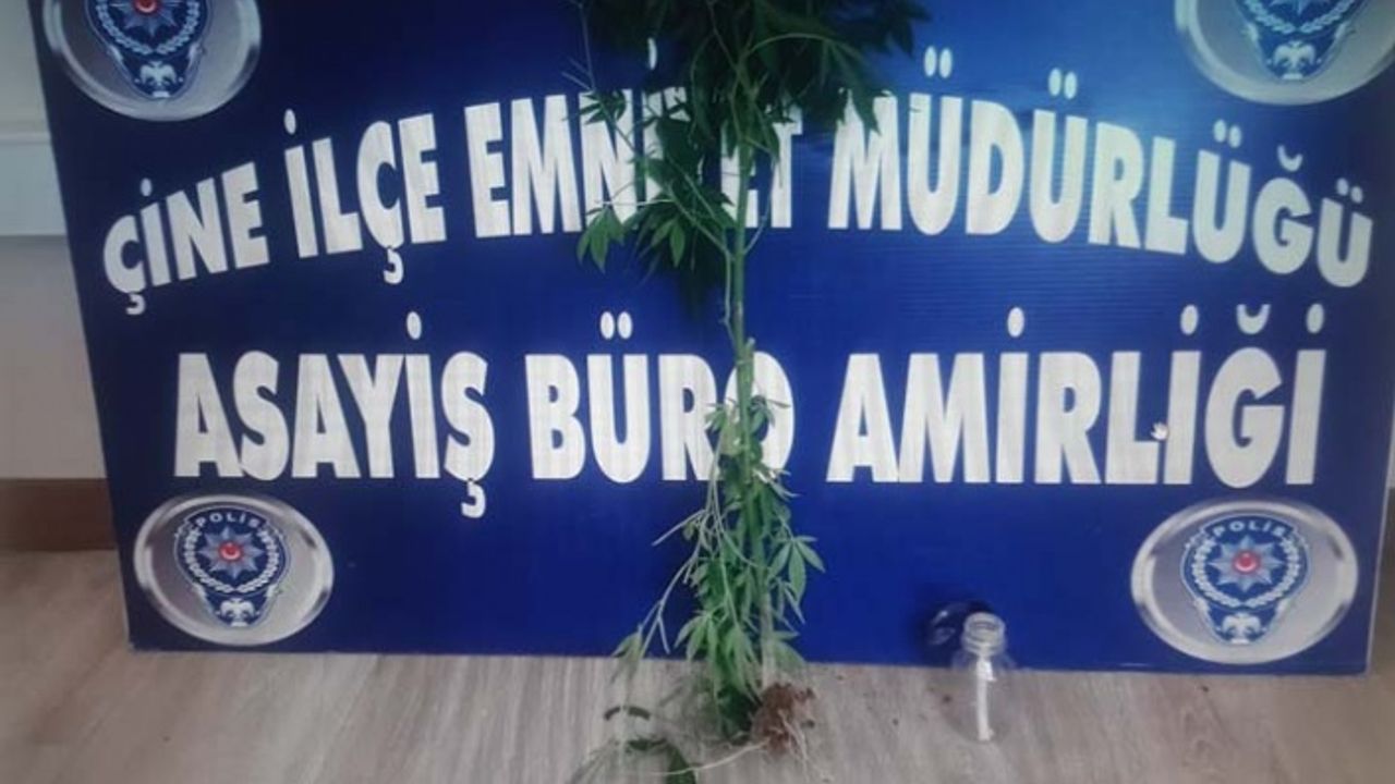 Çine Emniyet uyuşturucuya geçit vermiyor