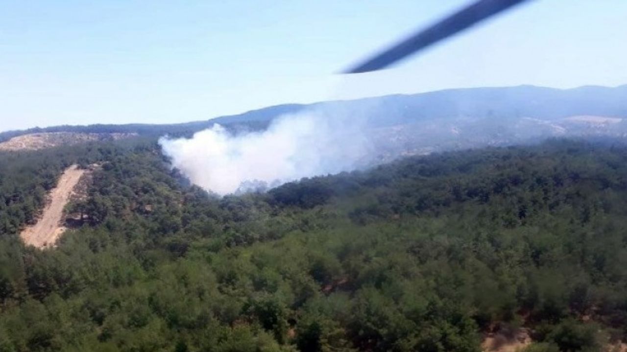Aydın'da aynı anda iki orman yangını çıktı