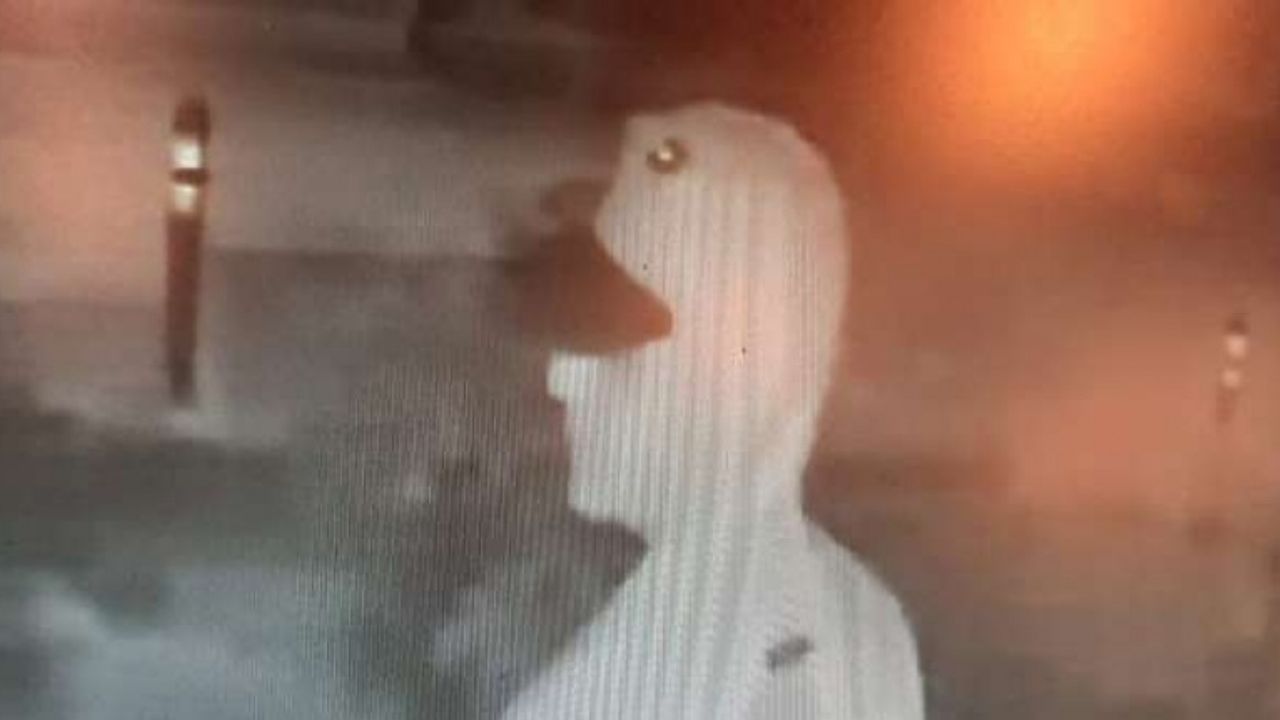 Çine'de simit fırınına giren hırsız bakın ne çaldı