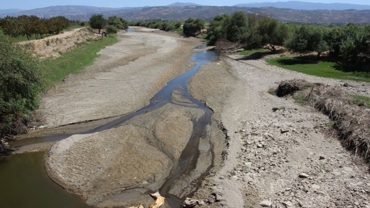 Büyük Menderes Nehri kurudu, çiftçiler tedirgin