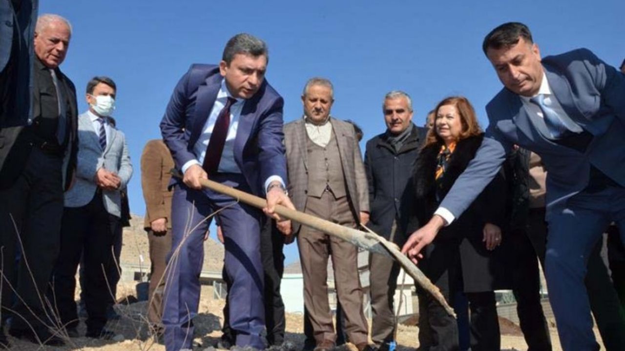 Aydın inciri Hasankeyf'te yemiş verecek