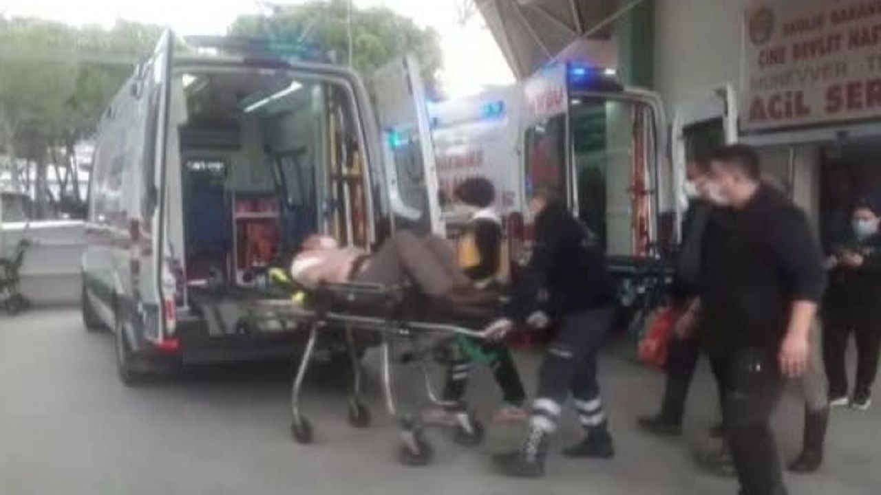 Çine'de öfkeli deve sahibini ısırdı