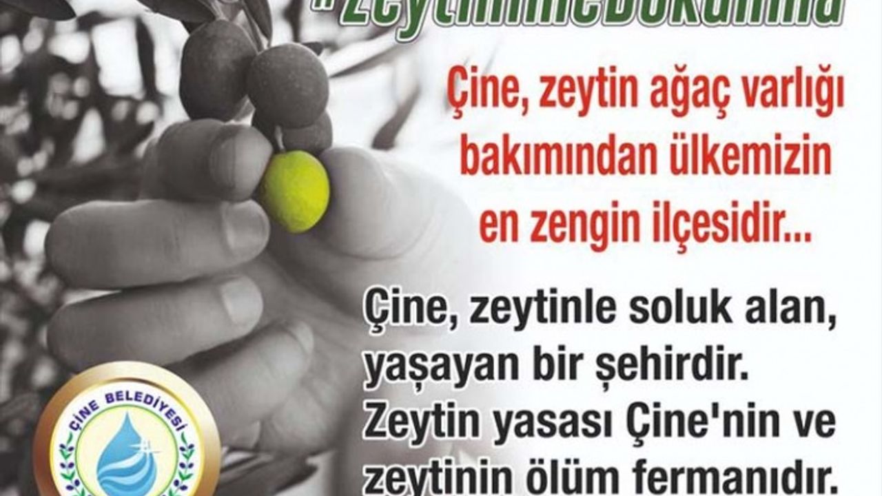 Çine Belediye Başkanlığından Duyurulur ‘Zeytinime Dokunma’