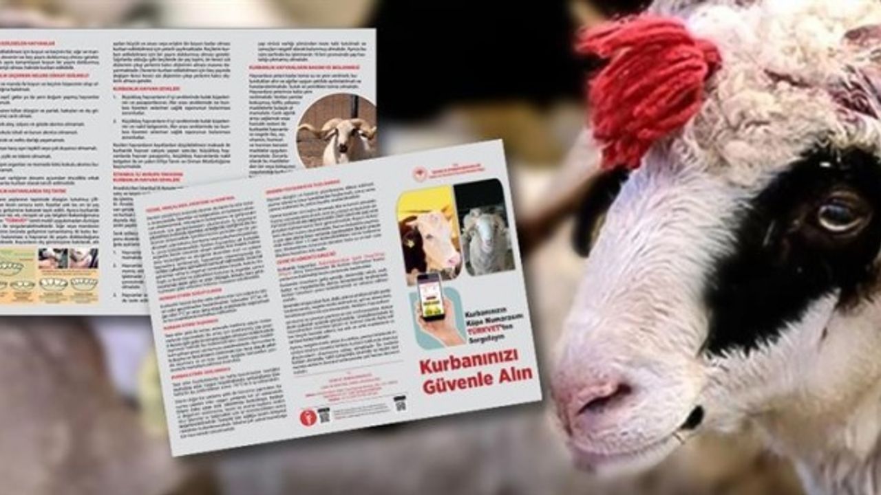 Kurban Kesim ve Hareketliliklerinde Uyulması Gereken Esaslar Belirlendi