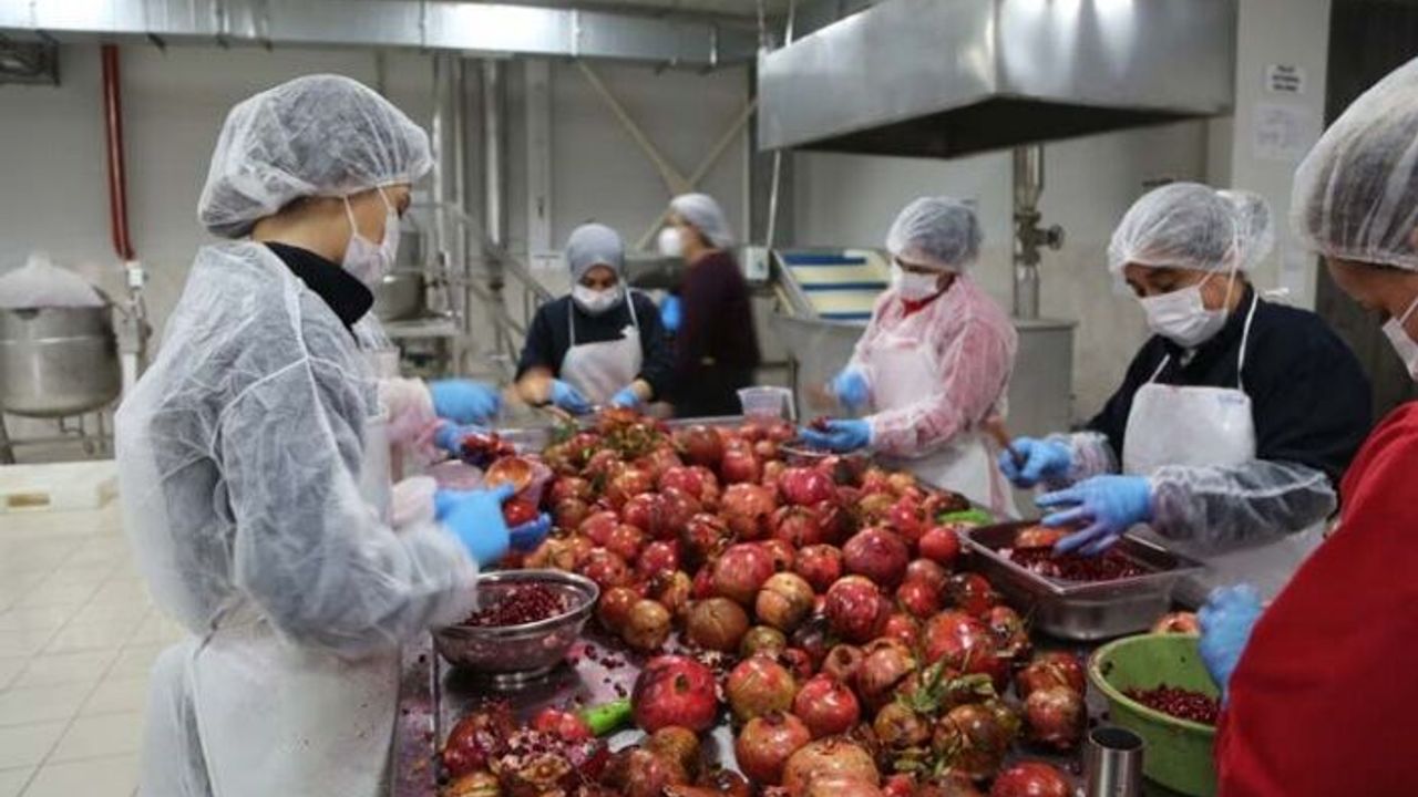 Kadın Emeği Tarımsal Ürün Fabrikası’ndan Yüzde 100 Nar Ekşisi