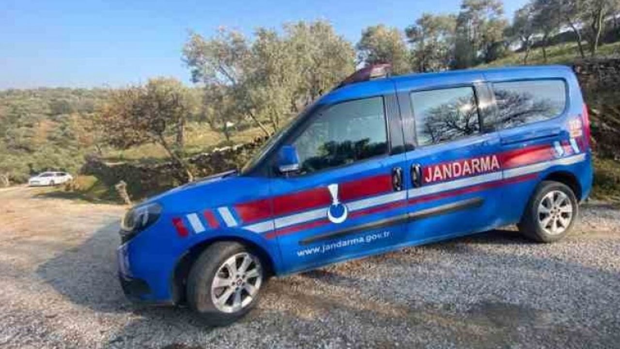 220 litre zeytinyağı çaldılar, jandarmadan kaçamadılar