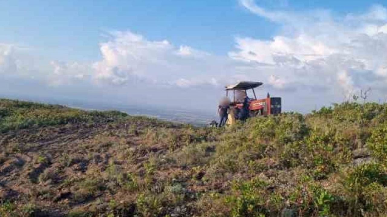 Hazineye ait arazide yol açarken yakalandılar