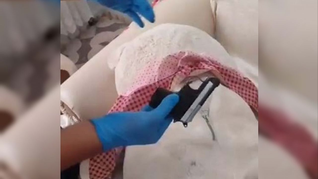 Çine'de oyuncak ayının içinden tabanca çıktı