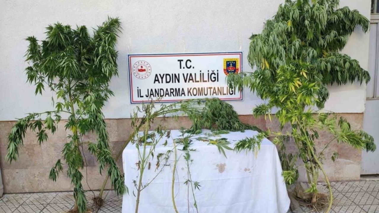 Jandarma ekipleri uyuşturucuya geçit vermiyor