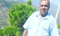 Çine’de arı sokması can aldı