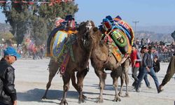 Sezonun ilk güreşi Kuyulu’da yapılacak