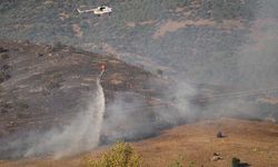 Çine ve Karpuzlu’da yangın çıktı