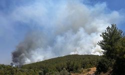 Muğla'nın ilçesi Yatağan'da orman yangın