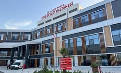 Çine Devlet Hastanesinde 3 ayda yaklaşık bir yıllık doğum gerçekleşti