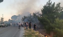 Çine Kavşit Mahallesi’ndeki yangın ucuz atlatıldı