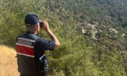 Ormanlık alanlara giriş yasak: Jandarma havadan ve karadan denetimde