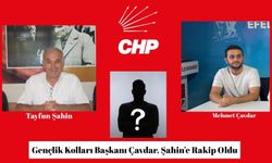 Gençlik Kolları Başkanı Çavdar, Şahin’e Rakip Oldu