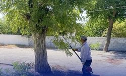 Çine’de okul bahçeleri yeni döneme hazır