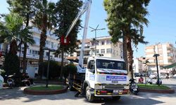 Çine Belediyesi Öz Kaynaklarıyla Araç Filosunu Güçlendiriyor