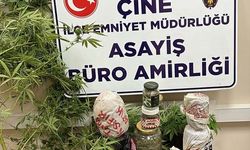 Çine’de: 20 Kök Hint Keneviri ve 5 Kilo Esrar Ele Geçirildi