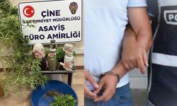 Çine’de zehir taciri tutuklandı