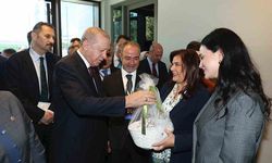 Başkan Çeriçoğlu’ndan Erdoğan’a Aydın inciri