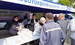 Çine’de Büyükşehir’in ata tohumlarına yoğun ilgi