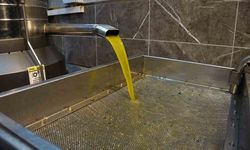 Zeytinyağı fiyatları belli oldu, fiyatlarda artış yaşandı