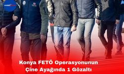 FETÖ Operasyonunun Çine Ayağında 1 Gözaltı