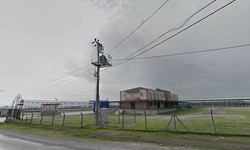 Hayvan pazarlarında yeni dönem: "Kurallar ve saatler belirlendi"