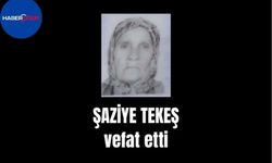 Şaziye Tekeş vefat etti