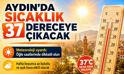 Aydın’da Termometreler 37 Dereceyi Gösterecek
