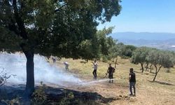 Çine Sarnıç'ta zeytinlik alanda çıkan yangın büyümeden kontrol altına alındı