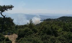 Aydın Valiliği’nden kritik orman yangını uyarısı