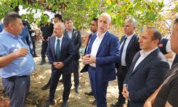 Bakan Yardımcısı Bulut ve Vali Varol Yangın Bölgesinde: "Devletimiz Tüm İmkânlarıyla Vatandaşımızın Yanındayız"
