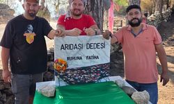 Yangının Ardından Umut Oldular: Çineli Gençlerden Arıdaşı Dede Türbesi'ne Gönüllü Dokunuş