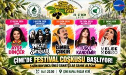 Çine’de Festival Coşkusu Başlıyor! 5 Gün Boyunca Ünlü Sanatçılar Sahne Alacak