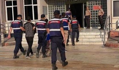 Zeytin fabrikasından hırsızlık yapan şahıslar suçüstü yakalandı