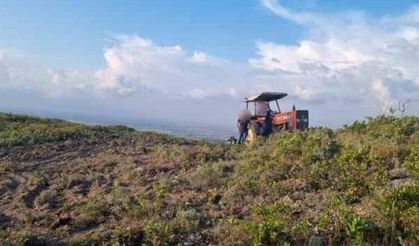 Hazineye ait arazide yol açarken yakalandılar