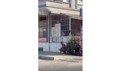 Sokakta çıplak koşan şahsı polis gözaltına alındı