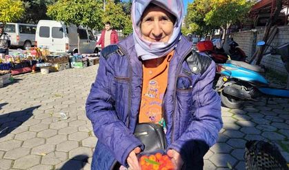 Karpuzlu'da 67 yaşında Semiha Şahin çalışmaktan vazgeçmiyor