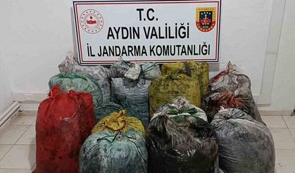 İzinsiz 1 ton zeytin toplayan 11 şüpheli yakalandı