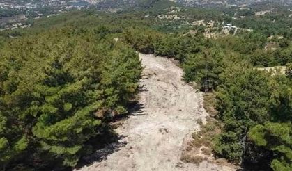 Çine’de orman yangınlarına karşı önleyici temizlik çalışması yapıldı